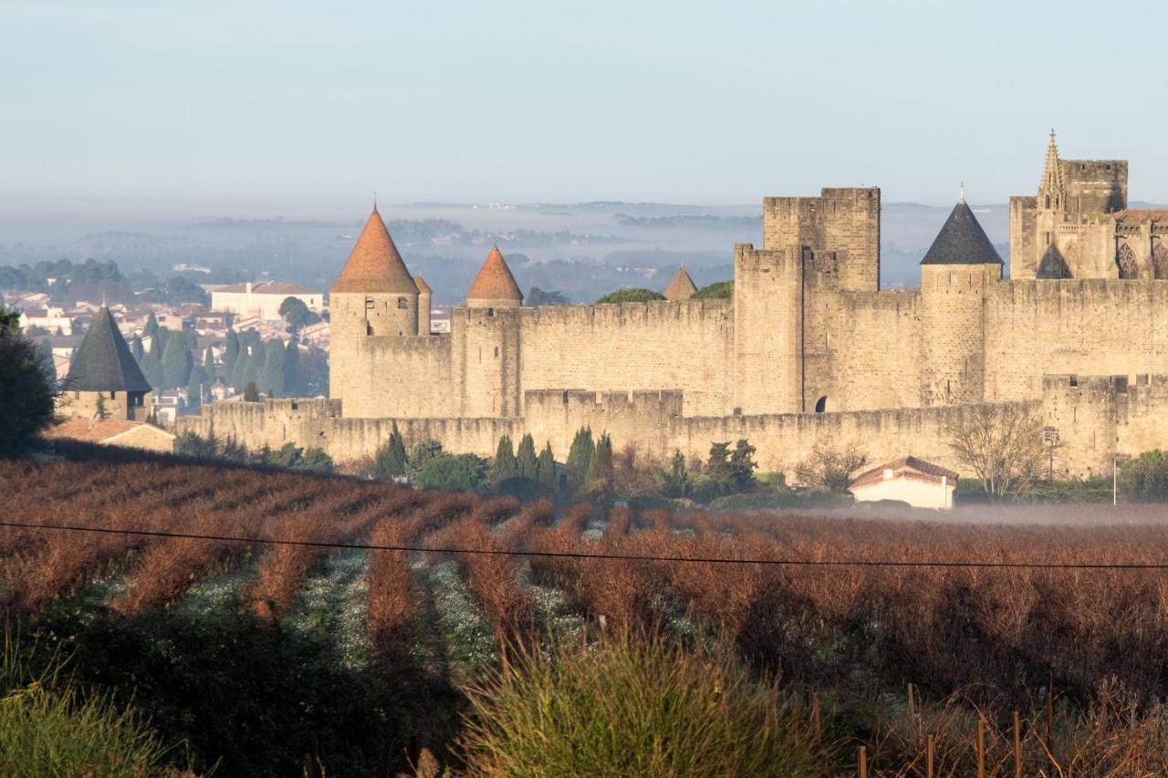 Villa Des Cathares Carcassone Kültér fotó